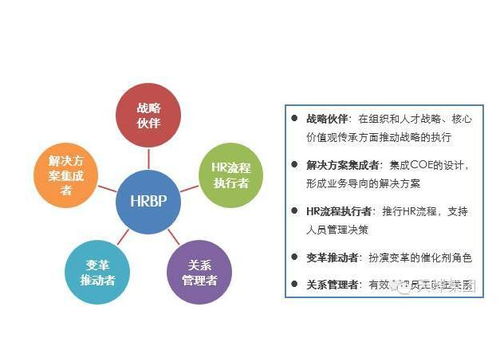 人力资源三支柱转型策略,一中心二关键三阶段四流程五步骤